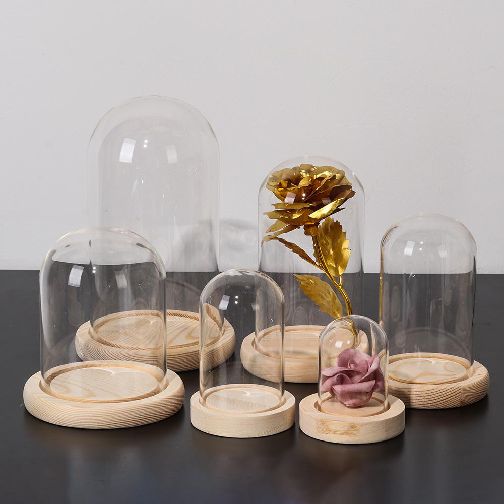 Luzes de Fada para Decoração d - Reusable Bottle avaliação e preço